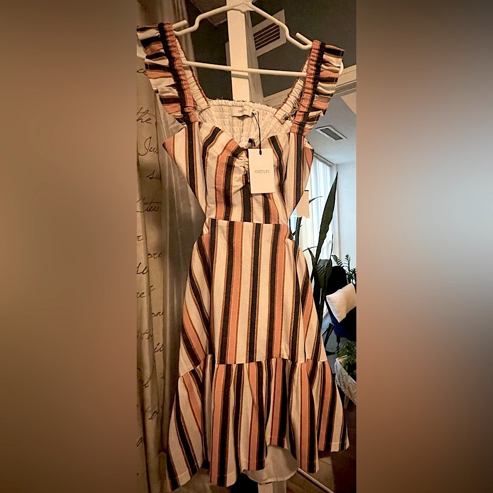 Brand New Greylin Dress